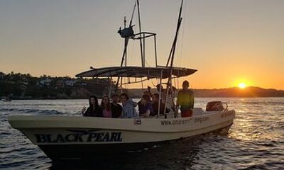 Private Family Dolphin and Whale Tour in Puerto Escondido