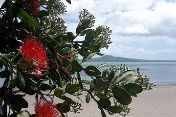 Gulf Coast to Coast Auckland tour