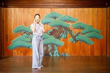 Osaka Oldest Noh Stage and Kishiwada Castle Cultural Walking Tour