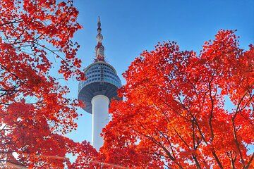 Seoul City Pass Deluxe Top Attractions, Nature and Experiences