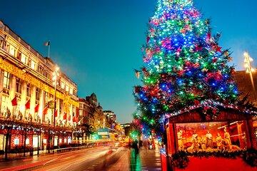 Full Day Dublin Christmas Tour with Cathedral Visit and Market