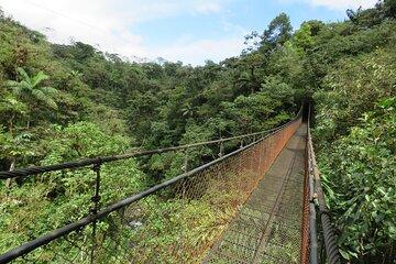 San Luis Canopy Cloud Forest Adventure And Suspension Bridges