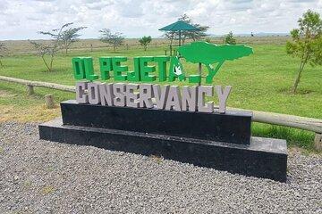 3 Days and 2 Nights Wildlife Experience at Ol Pejeta Conservancy