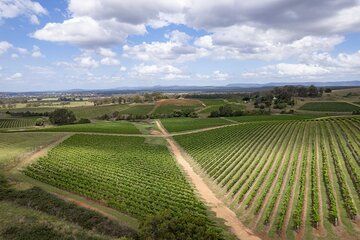 Private Hunter Valley Wine Tour from Sydney Tasting Day Trip