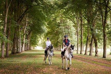 Private Horseback Ride in the Palace of Versailles
