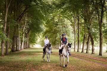 Private Horseback Ride in the Palace of Versailles