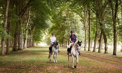 Private Horseback Ride in the Palace of Versailles
