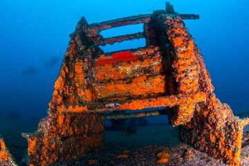Double Diving Departure in Faial