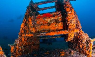 Double Diving Departure in Faial