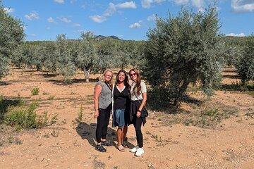 Olive Oil Farm Experience and Sitges Private Tour from Barcelona