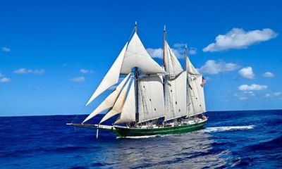 Sunset Sail Aboard the Tall Ship Denis Sullivan