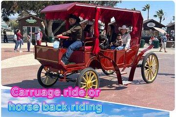 City Carriage Tours and Horseback Riding on the Beach