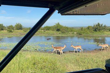 Open Car Kruger National Park Full Day Safari