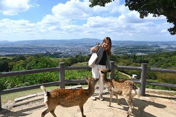 Nara Mt.Wakakusa Hilltop Bus From JR or Kintetsu Nara Station