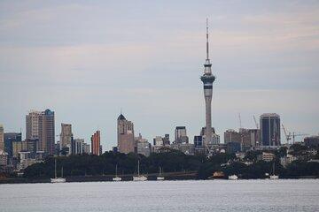 Discover Auckland’s Famous Spots