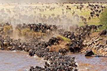 3 Day Joining Safari to Serengeti and Ngorongoro