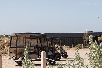 Private Island Day Tour with 6 Course Dining