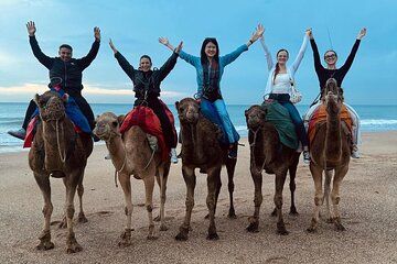 Full-Day Private Tangier tour : Quad Biking, Camel Ride & Lunch