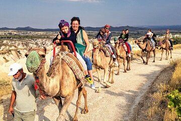 Camel Riding Experience by Flamingos River