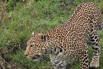 One Day Tour at Tarangire National Park