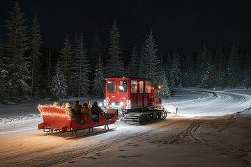 Whistler Holiday Sleigh Ride
