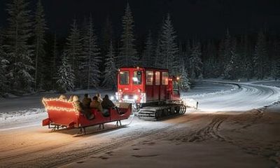 Whistler Holiday Sleigh Ride