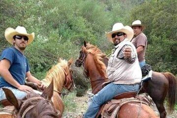 Ensenada Horseback Riding Adventure with Local Guide