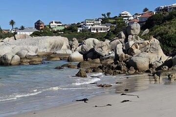 Cape Peninsula tour