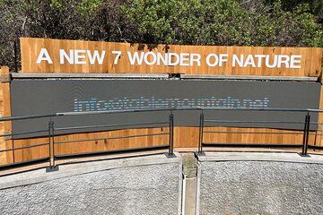 Fast Track Cable Car Table Mountain at Cape Town