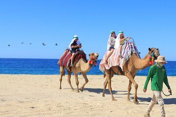 Combo Adventure Tour in Los Cabos