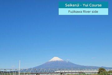 All-about Mt.Fuji Short Tour from Shimizu Port