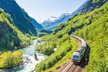 Private tour - Viking Village, Nærøyfjord Cruise & Flåm Railway