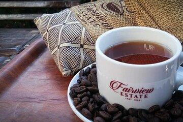 Private Tour to Fairview Coffee Farm Tour with Coffee Testing