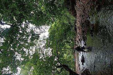 Shilonda Trail Nature Experience in Mumbai