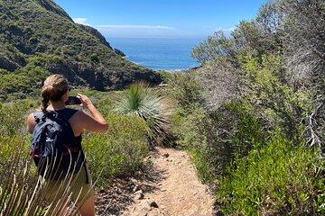 Deep Creek Hike: Trails and Tales with a Foreign Flair