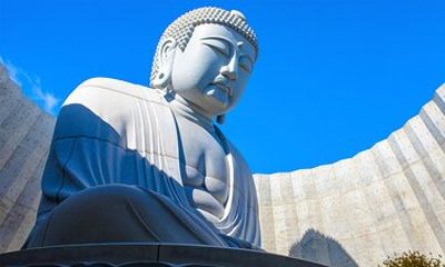 Sapporo Private Day Tour with Hotel Pickup