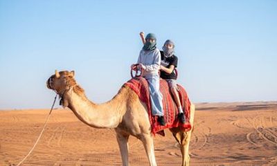 Ride a Camel in Agafay & Enjoy a Traditional Three-Course Dinner