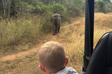 Udawalawa National Park Safari from Ahungalla