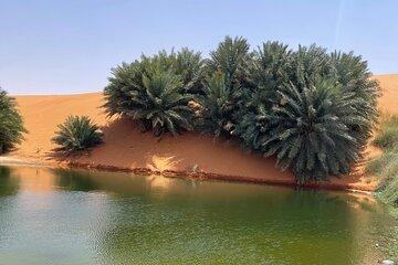 Private Saudi Kashtah Local Picnic Experience