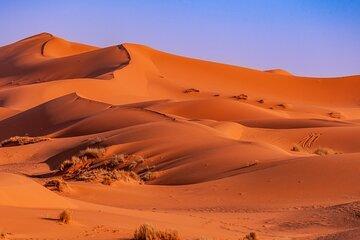 5 Day Morocco Tour Casablanca to Marrakech via Sahara desert