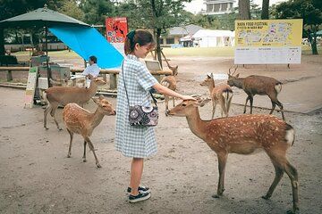 Unpack Nara Your Full Day Private Car Adventure with Your Guide