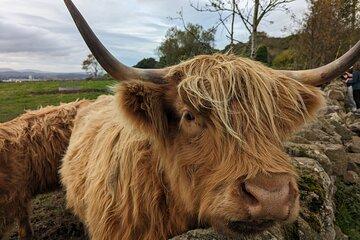 Loch Lomond, Highlands, Doune Castle Private Tour From Edinburgh