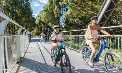E-bike Rail Trail & Tropical Fruit World Tour: Gold Coast & Byron