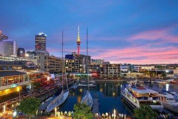Half Day Auckland City Sightseeing Tour with Expert Guide