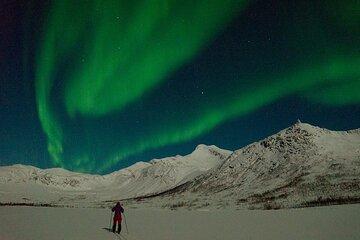 Evening Snow Shoe Hike and Basecamp Experience