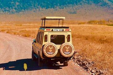 Safari Magic & Local Vibes