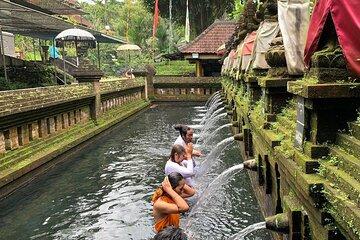 Bali Private Car Charter with English Speaking Driver