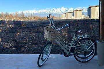 Lujan de Cuyo Private Bike Tour