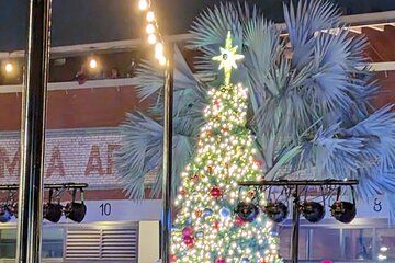 Tampa Holiday Market and Lights Bus Tour