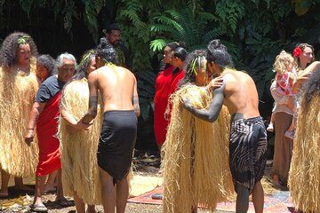 Small Group Shared Half Day Tahiti Tour Waterfalls&Scenic Coast